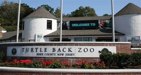 Zoos in new jersey. Things To Know About Zoos in new jersey. 
